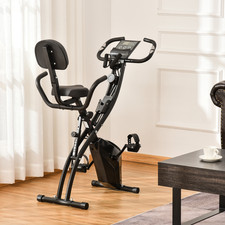 2-in-1 Upright/Recumbent